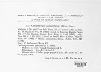 Coniothyrium concentricum image